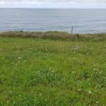 Yacimiento de Campo Arado