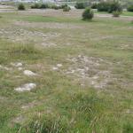 Yacimiento de El Rostrío CH