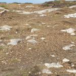 Yacimiento de la Punta de Cabezón de San Pedro