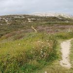 Yacimiento de El Rostrío B