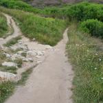 Yacimiento de Virgen del Mar C