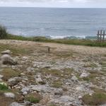 Yacimiento de Campo Vallado