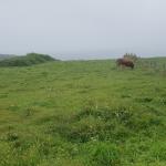 Yacimiento Este de El Rostrío