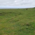 Yacimiento de Post-Antenas C