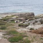 Yacimiento de Fuera de las Antenas