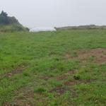 Yacimiento de Ciriego B