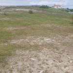 Yacimiento de El Rostrío D