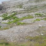 Yacimiento Oeste de Campo Vallado