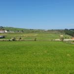 Yacimiento de Cementerio de San Román