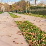 Yacimiento de Campogiro 2