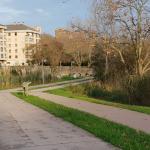 Yacimiento de Campogiro 3