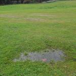 Yacimiento del Faro de Bellavista Sur